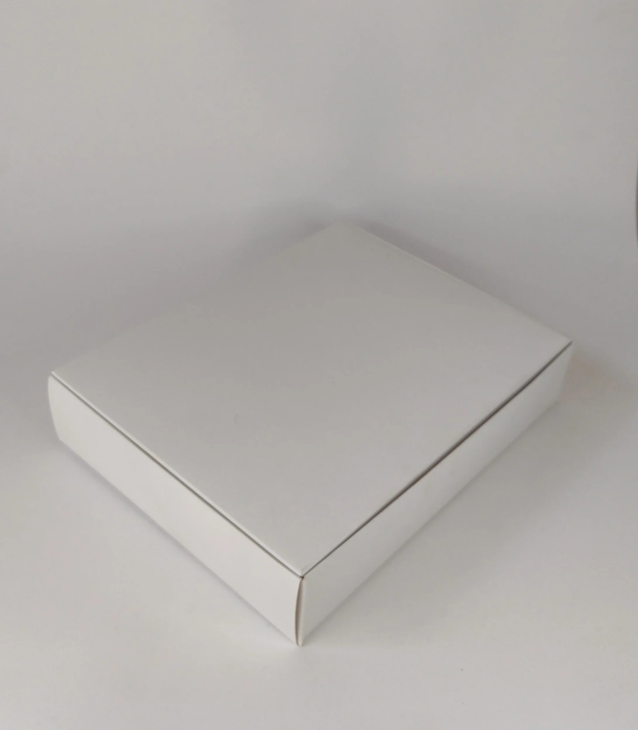 Caixa Branca - Tampa Conjugada (22 x 17 x 4,5 cm) - 25 unidades - Imagem 2