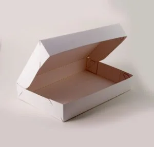 Caixa Branca Conjugada - Triplex ( 30 x 20 x 4,8 cm ) - 25 unidades