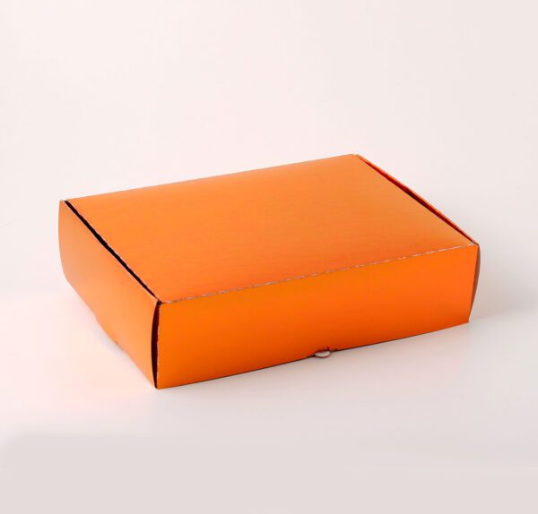 Caixa Conjugada - Laranja Brilhante ( 21,5 x 15 x 3,5 cm ) - 100 unidades - Imagem 2