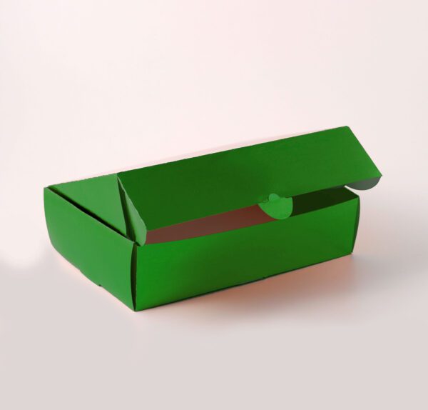 Caixa Conjugada - Verde Brilhante ( 21,5 x 15 x 3,5 cm ) - 100 unidades