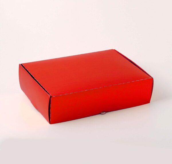 Caixa Conjugada - Vermelho Brilhante ( 21,5 x 15 x 3,5 cm ) - 100 unidades - Imagem 2