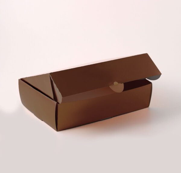 Caixa Conjugada - Marrom Brilhante ( 21,5 x 15 x 3,5 cm ) - 100 unidades