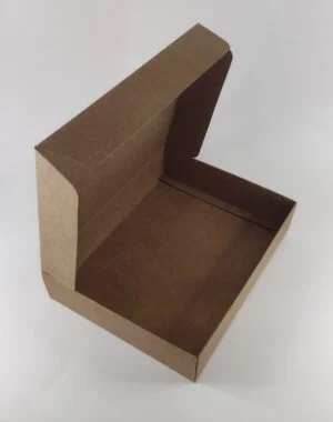 Caixa Kraft - Tampa Conjugada (22 x 17 x 4,5cm) - 25 unidades