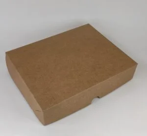 Caixa Kraft - Tampa Conjugada ( 25 x 20 x 5 cm ) - 25 unidades