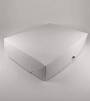 Caixa Branca - Tampa Conjugada ( 25 x 20 x 5 cm ) - 25 unidades