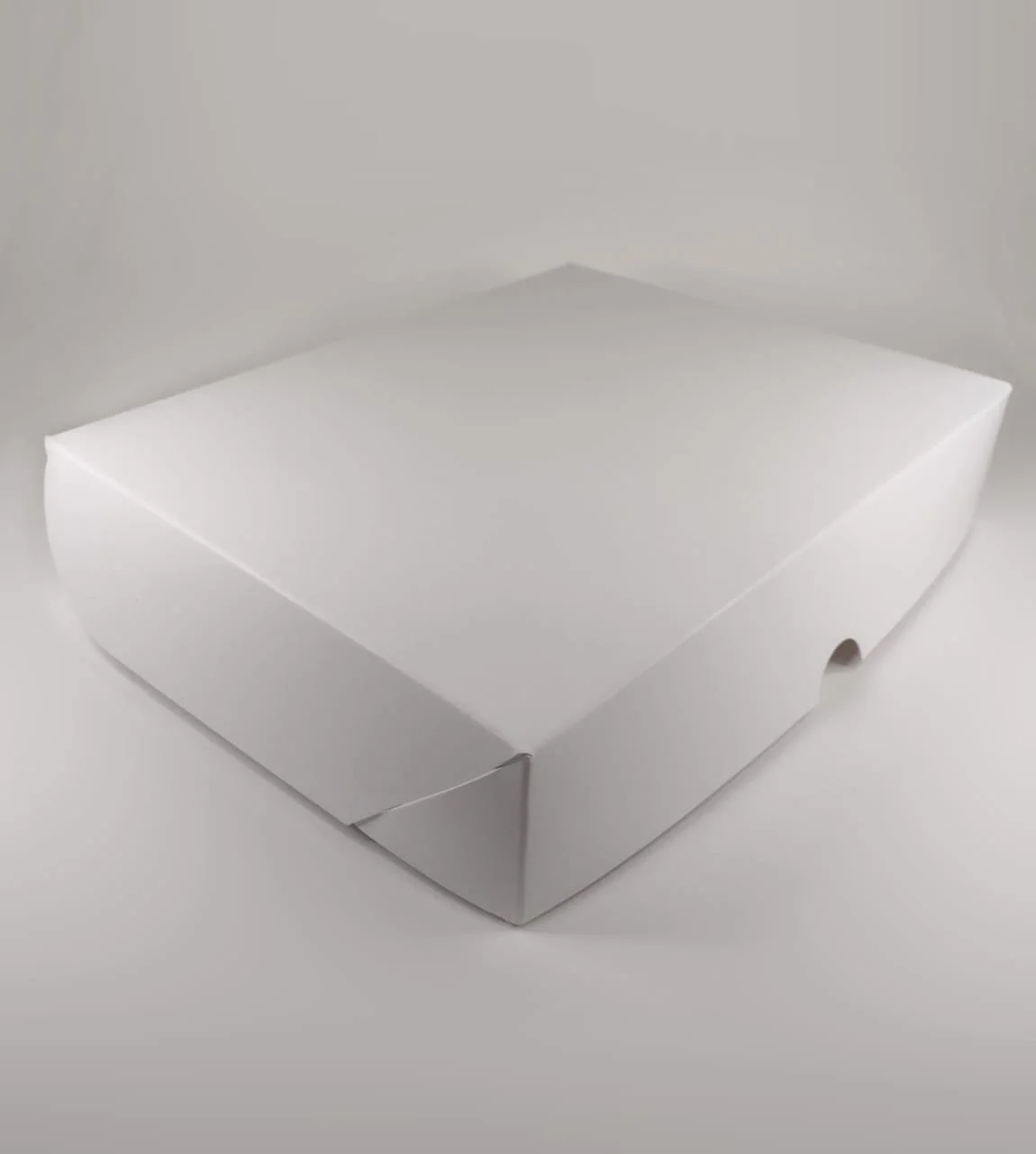 Caixa Branca - Tampa Conjugada ( 25 x 20 x 5 cm ) - 25 unidades